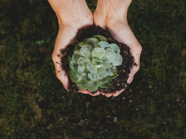 Sustainability